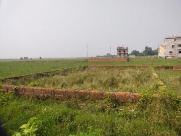 Aiginia, Khurda District, Orissa