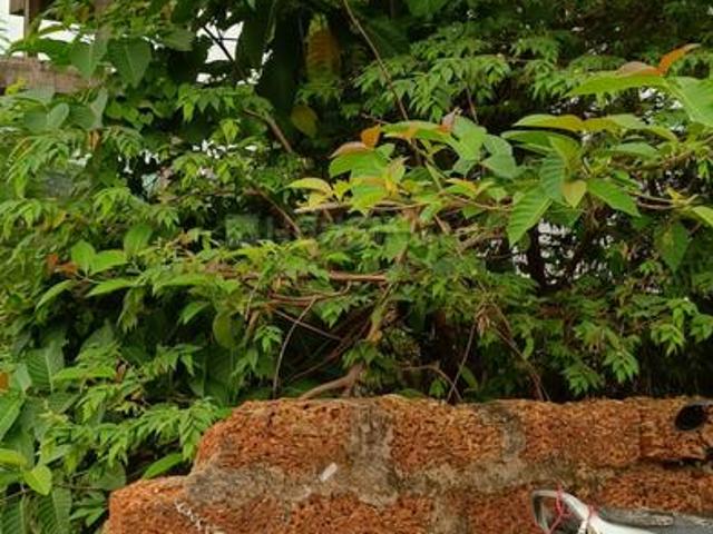 Residential Plot in Khandagiri for resale Bhubaneswar. The reference number is 20855277