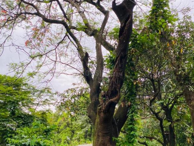 Residential Plot in Khandala for resale Lonavala. The reference number is 17517825