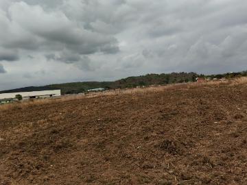 Residential Plot in Kharghar for resale Navi Mumbai. The reference number is 20307447