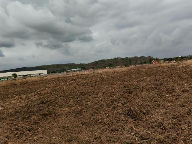 Residential Plot in Kharghar for resale Navi Mumbai. The reference number is 20307447