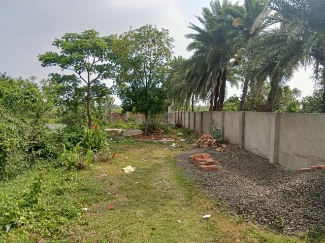 Residential Plot in Kheyadah for resale Kolkata. The reference number is 20767622