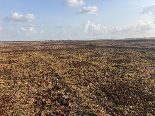 Residential Plot in Khopate for resale Raigad. The reference number is 20467920