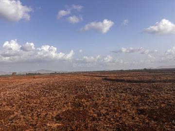 Residential Plot in Khopate for resale Raigad. The reference number is 20553145