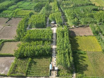 Saharanpur District, Haryana State - Swimming pool