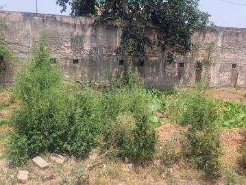 Residential Plot in Kidawali for resale Noida. The reference number is 20496804