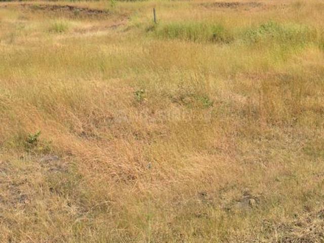 Residential Plot in Kikvi for resale Pune. The reference number is 21367726