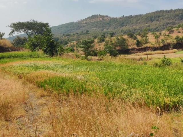 Residential Plot in Kikvi for resale Pune. The reference number is 21392659