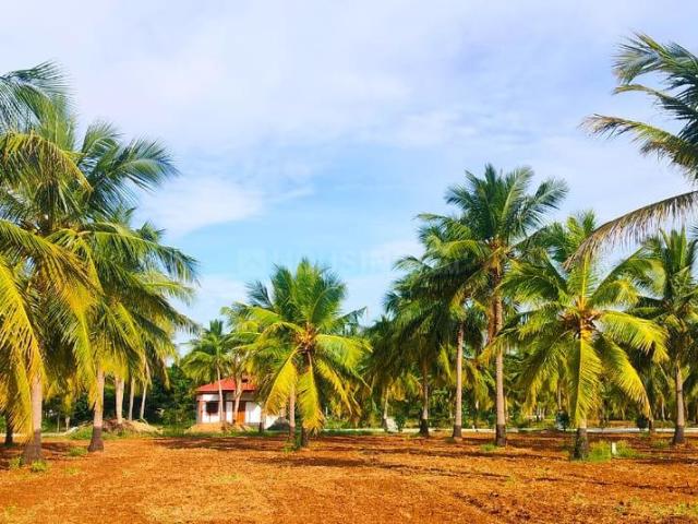 Residential Plot in Kilapudur for resale Tiruchirappalli. The reference number is 19243960