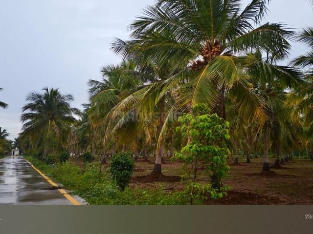 Residential Plot in Kilapudur for resale Tiruchirappalli. The reference number is 19245151