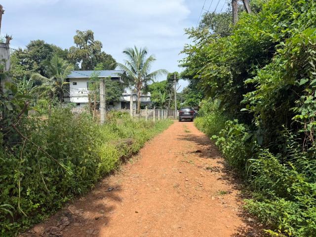 Residential Plot in Killannur for resale Thrissur. The reference number is 21052537