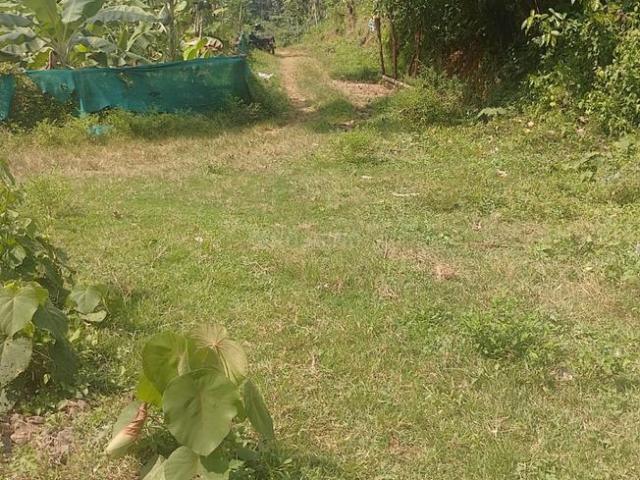 Residential Plot in Killannur for resale Thrissur. The reference number is 21226337