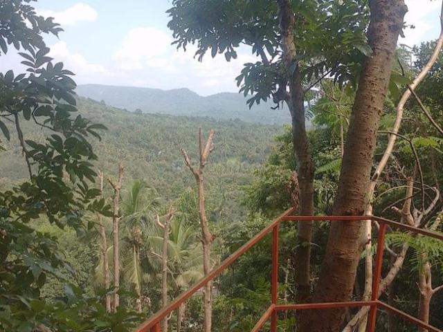 Residential Plot in Killannur for resale Thrissur. The reference number is 21226418