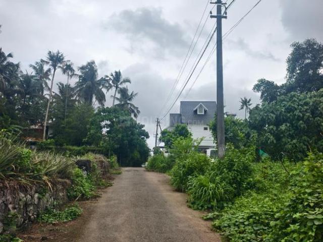 Residential Plot in Kizhakkambalam for resale Kochi. The reference number is 20685592