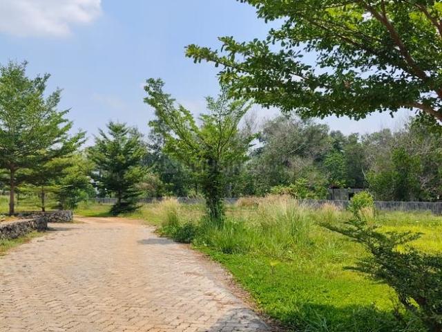 Residential Plot in Kizhakkambalam for resale Kochi. The reference number is 20060748