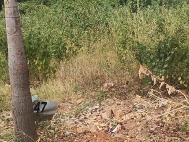 Residential Plot in Kodipalya for resale Bengaluru. The reference number is 21109578