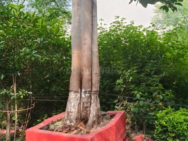 Residential Plot in Kolar for resale Bhopal. The reference number is 20978006