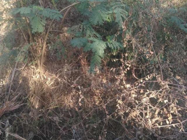 Residential Plot in Kompally for resale Hyderabad. The reference number is 20831339