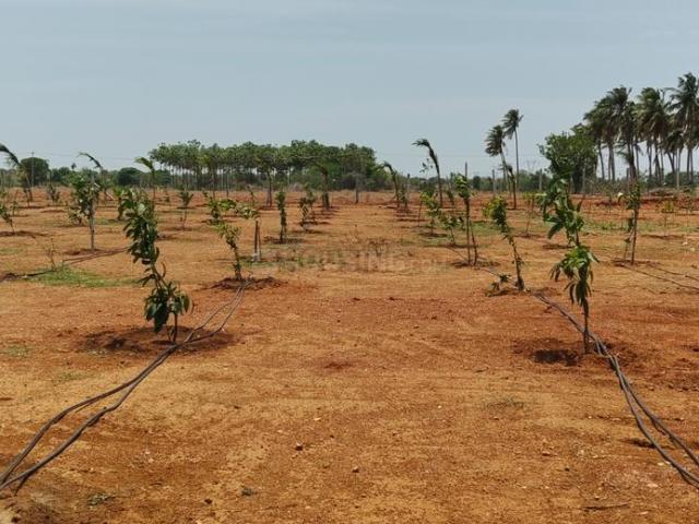 Residential Plot in Konalai for resale Tiruchirappalli. The reference number is 21096153
