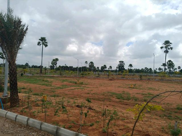 Residential Plot in Kongara Kalan for resale Hyderabad. The reference number is 18576592