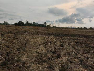 Residential Plot in Koproli for resale Navi Mumbai. The reference number is 20293181