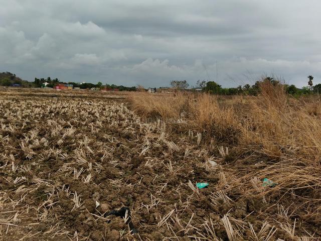 Residential Plot in Koproli for resale Navi Mumbai. The reference number is 20298855