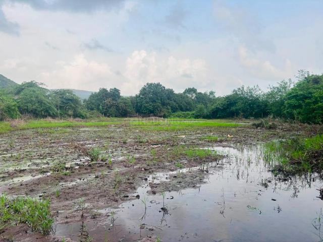 Residential Plot in Koproli for resale Navi Mumbai. The reference number is 20993183