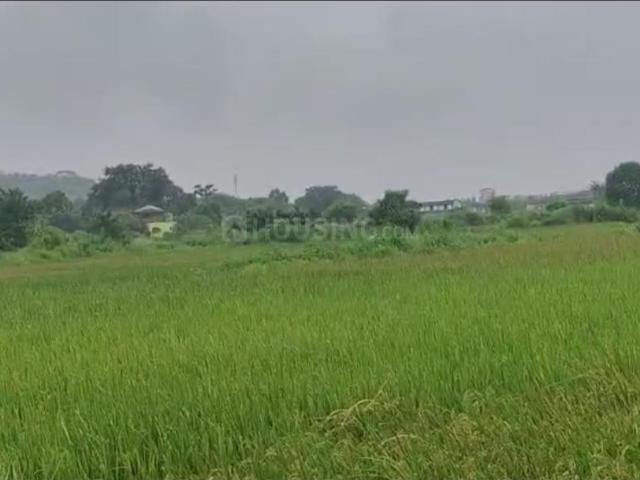 Residential Plot in Koproli, Uran Taluka for resale Navi Mumbai. The reference number is 21009758