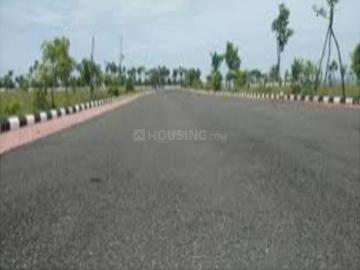 Koregaon Park, Pune, Pune District, Maharashtra