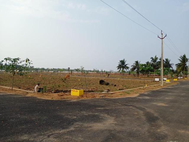 Residential Plot in Korukonda for resale Vizianagaram. The reference number is 15206381