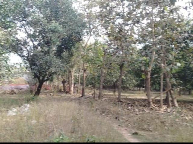 Residential Plot in Korukonda for resale Vizianagaram. The reference number is 20000630