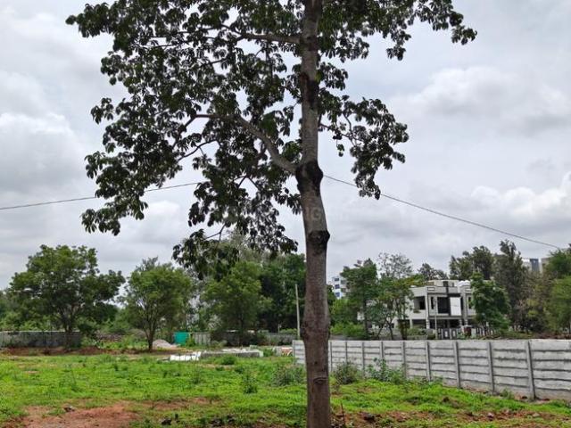 Residential Plot in Kowkoor for resale Secunderabad. The reference number is 20967477