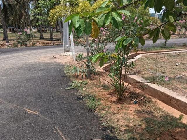 Residential Plot in Kothavalasa for resale Vizianagaram. The reference number is 20826297