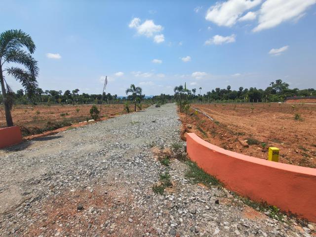 Residential Plot in Kothavalasa for resale Visakhapatnam. The reference number is 20479215