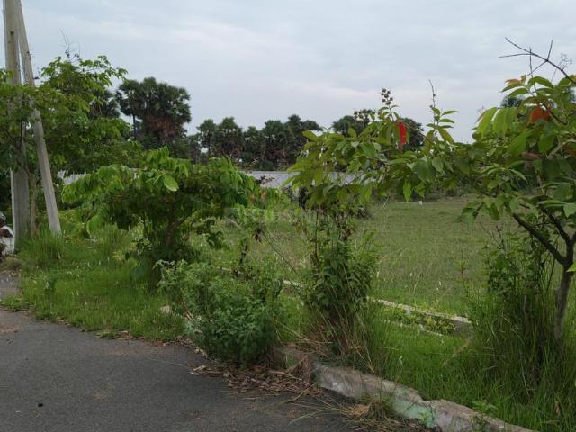 Residential Plot in Kothavalasa for resale Visakhapatnam. The reference number is 21034895