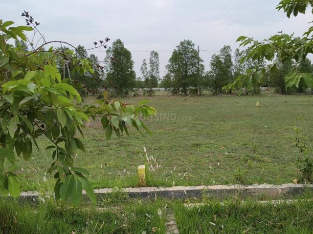 Residential Plot in Kothavalasa for resale Visakhapatnam. The reference number is 21034910