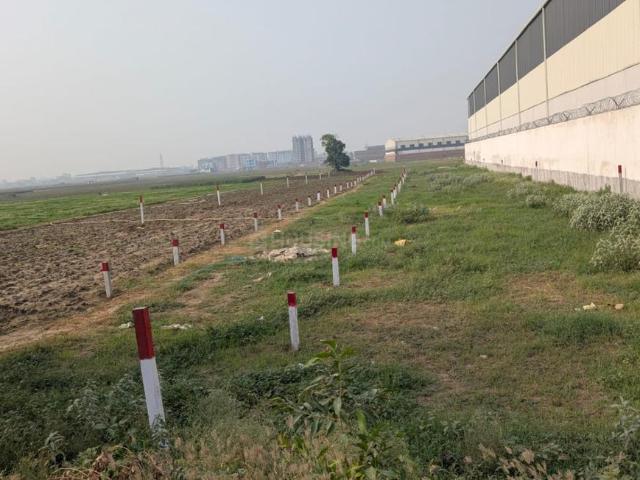 Residential Plot in Kothiya for resale Patna. The reference number is 20371500