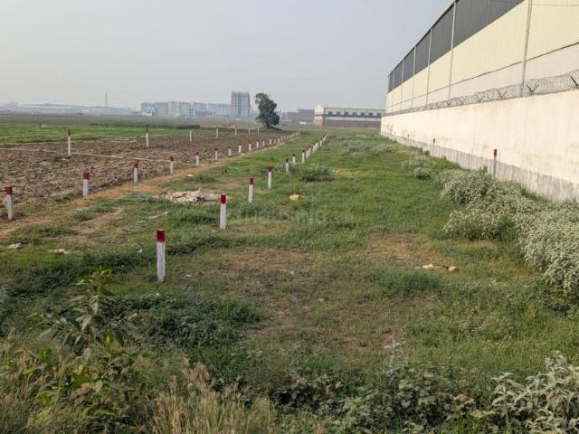Residential Plot in Kothiya for resale Patna. The reference number is 21316584