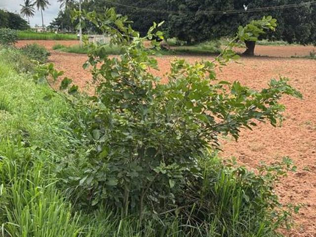 Residential Plot in Kothnur Narayanapura for resale Bengaluru. The reference number is 20856851