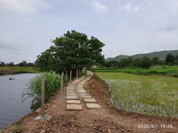 Residential Plot in Kothrud for resale Pune. The reference number is 20509356