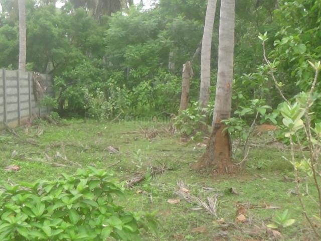 Residential Plot in Kottakuppam for resale Puducherry. The reference number is 21031097