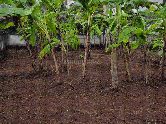 Residential Plot in Kottappuram for resale Thrissur. The reference number is 21180117
