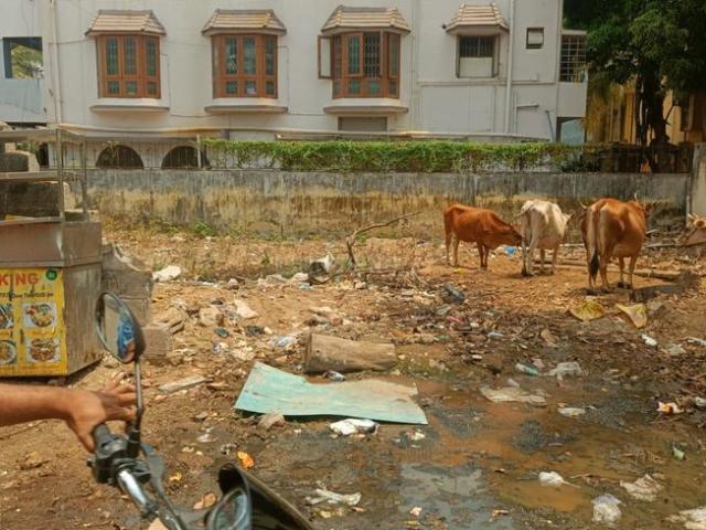 Residential Plot in Kottivakkam for resale Chennai. The reference number is 20983846