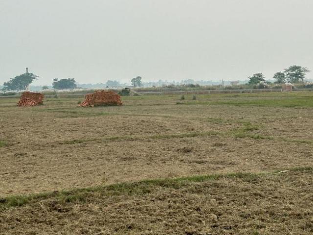 Residential Plot in Laheriasarai for resale Darbhanga. The reference number is 16383814