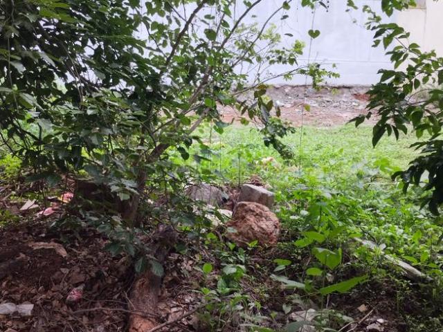 Residential Plot in Lal Bahadur Shastri Nagar for resale Bengaluru. The reference number is 18530518