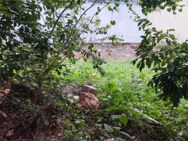 Residential Plot in Lal Bahadur Shastri Nagar for resale Bengaluru. The reference number is 8769060