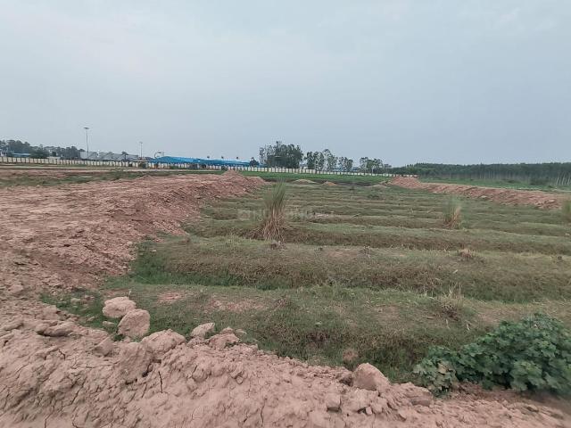 Residential Plot in Lalru for resale Dera Bassi. The reference number is 18420392