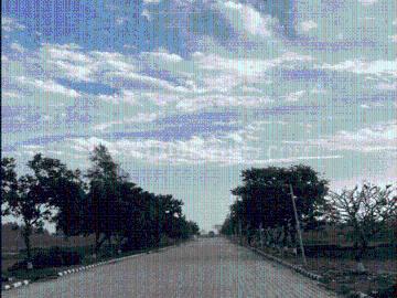 Residential Plot in Lalru for resale Dera Bassi. The reference number is 19694808