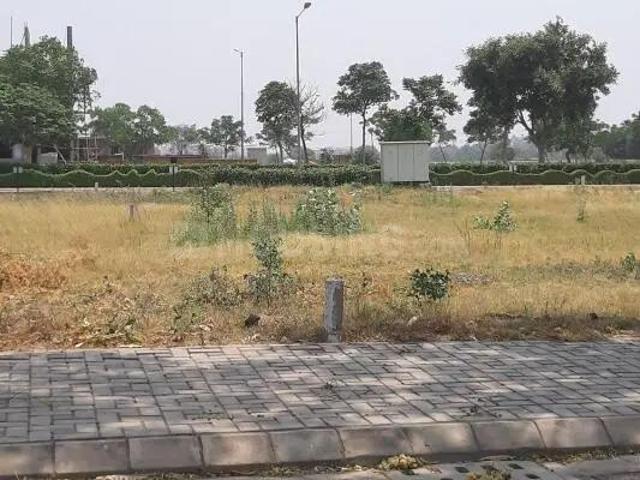 Residential Plot in Lalru for resale Dera Bassi. The reference number is 21226525