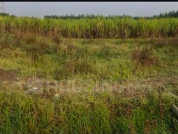 Residential Plot in Lapkaman for resale Ahmedabad. The reference number is 14856739